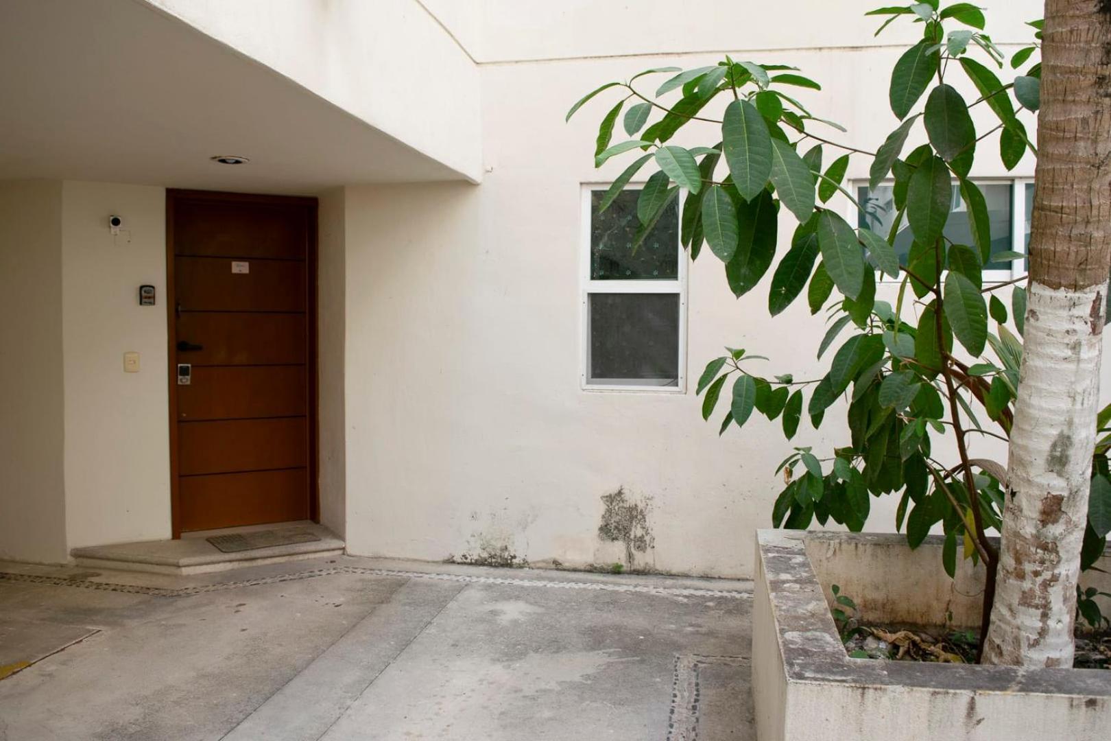 New Oasis Sunsets & Comfort Near The Beach Apartment